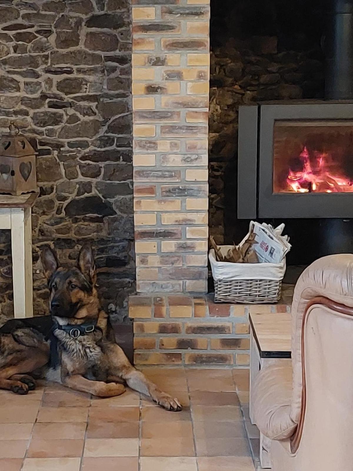 La Belangerie Villa Saint-Loup  Eksteriør billede